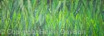 Barley Grass Abstract