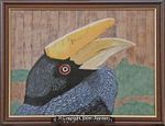 Hornbill