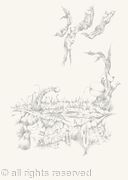 LABIA POND INVITATION