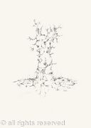 FERTILYTREE