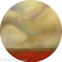 Poppies Galore