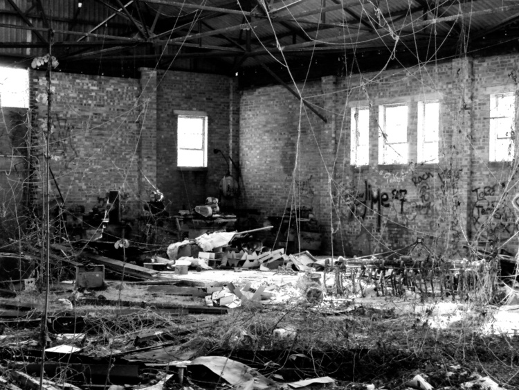 Interior 2