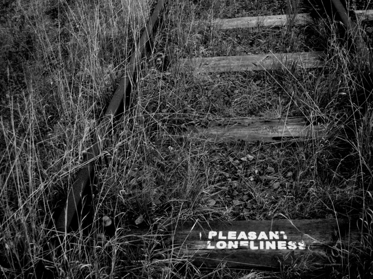 Pleasant Loneliness 