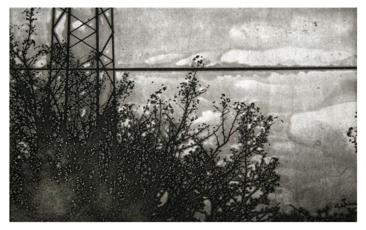 Photopolymer 