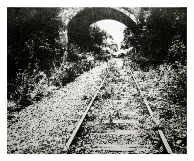 Photopolymer