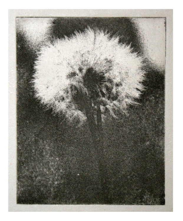 Etching and chine colle