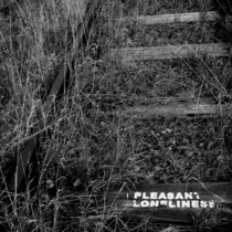 Pleasant Loneliness 