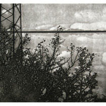 Photopolymer 