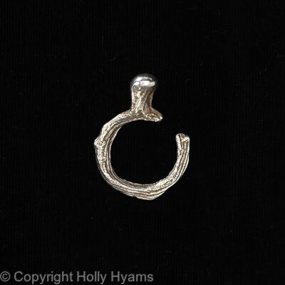cuttlefish ring