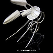 white double pin ring I