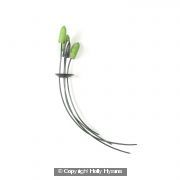 lime and oxidised silver Pin