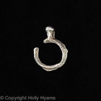 cuttlefish ring