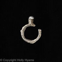 cuttlefish ring