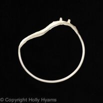 cuttlefish bangle 