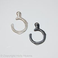 cuttlefish rings