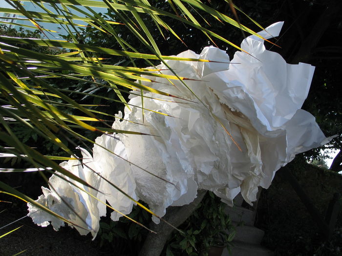 Paper Hurricane 2