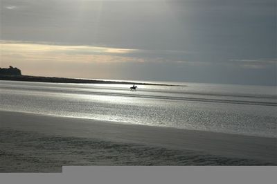Rush Beach (Photograph)