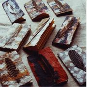 feather books