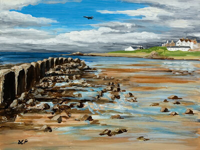 Low flying over Lossiemouth West Beach