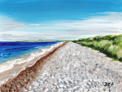 Shingle Beach, Findhorn
