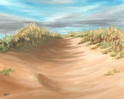 Evening Sun, West Sands Dunes