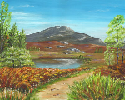 Footpath to Ben Venue