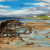 Low flying over Lossiemouth West Beach