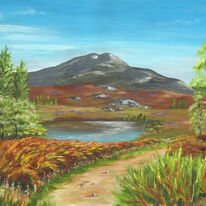 Footpath to Ben Venue