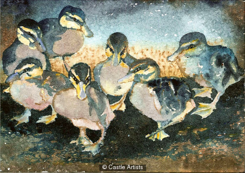 Ann Macdonald Midnight Waddle