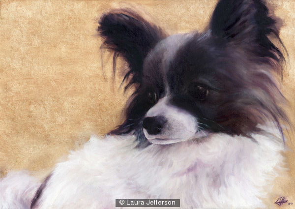 Butterfly dog