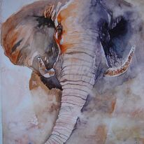 bull-elephant