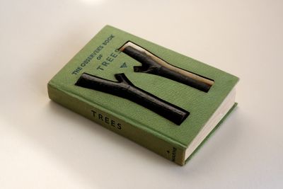 June Kingsbury; Emilys Dream II (Book of Trees)