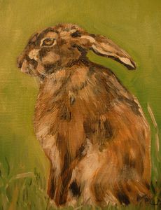 Grumpy Hare