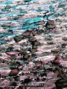Shoreline