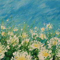 big daisy meadow
