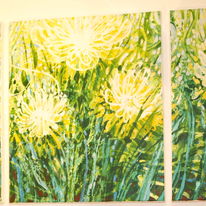 meadow
