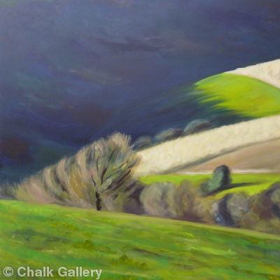 Shadowed Hills #2