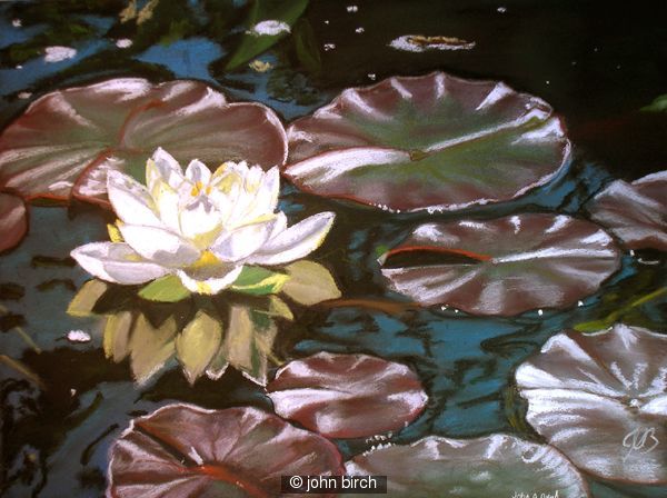 pond princess