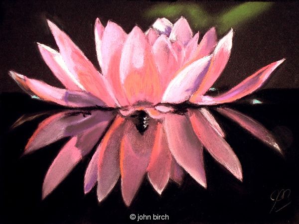 Beauty Reflected