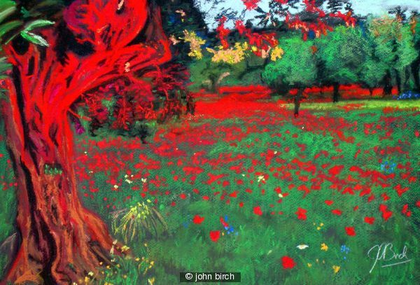 Poppies and an Olive Tree