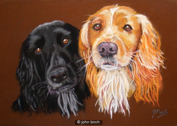 paddy and ted