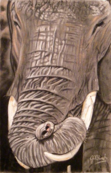 elephant-by-moonlight