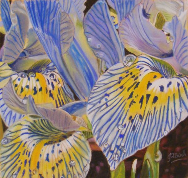 irises-after-the-rain