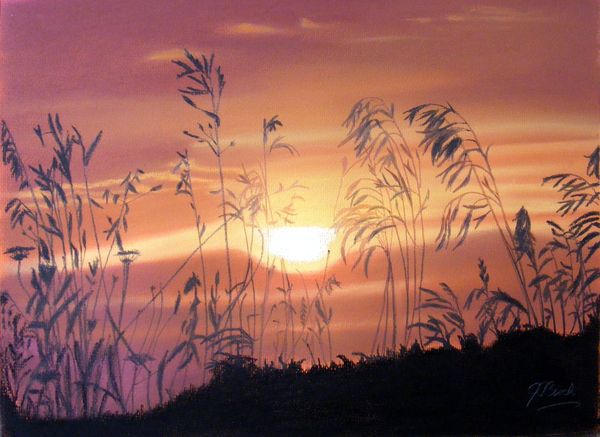 sunset-through-grasses