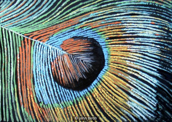 Eye of the Feather