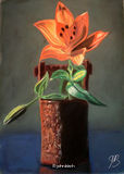 Lily in Iron