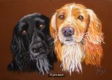 paddy and ted