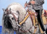andalusian