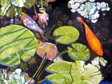 koi