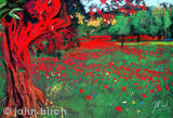 Poppies and an Olive tree
